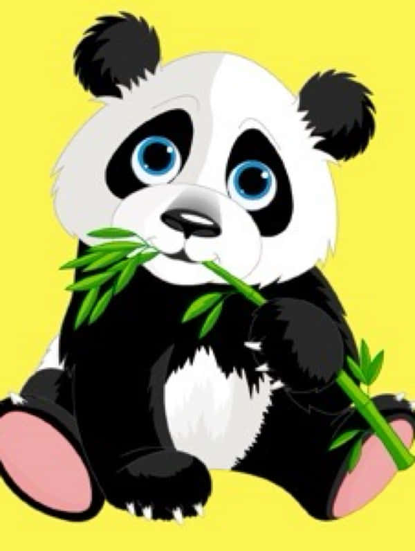 Panda Paket