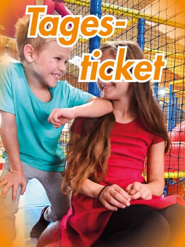 Tagesticket neu