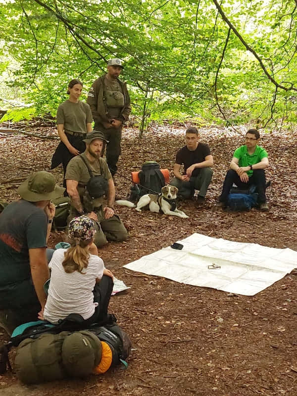 Survival Basic