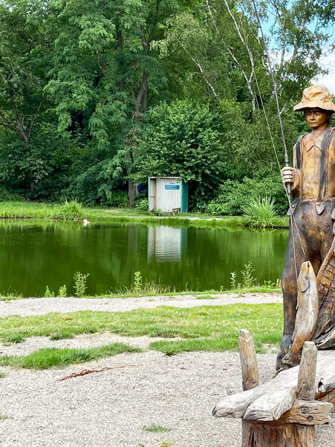 TEICH 2 - KLEINE LACHSFORELLEN / MISCHTEICH