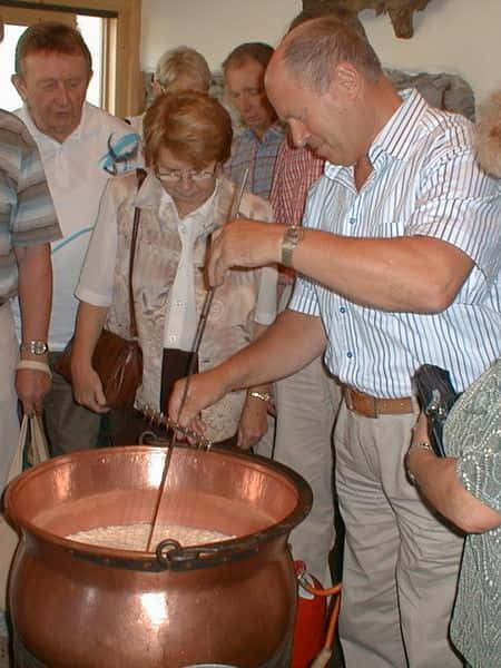 Schaukäse