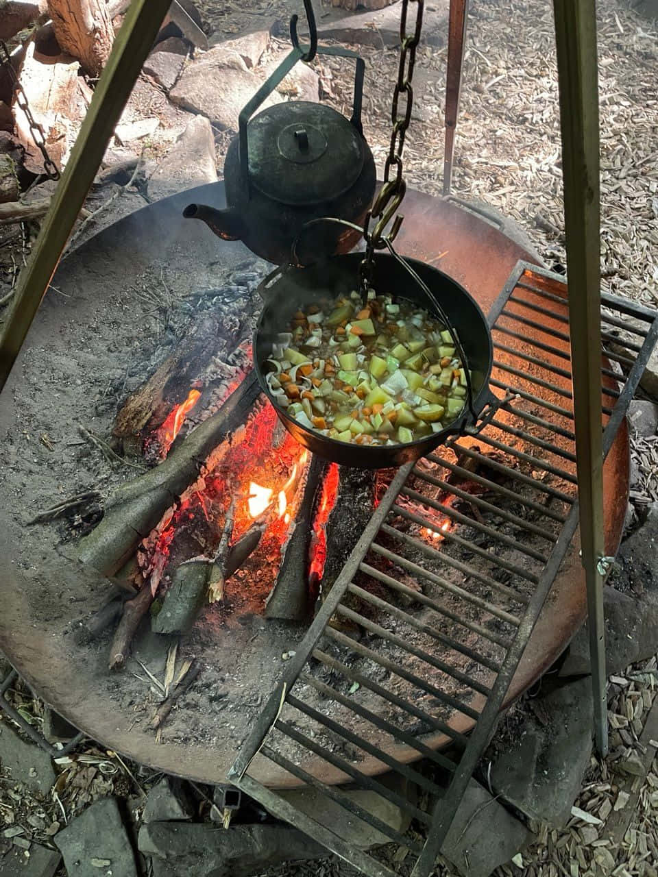Herbstliche Outdoor-Küche im Reinhardswald