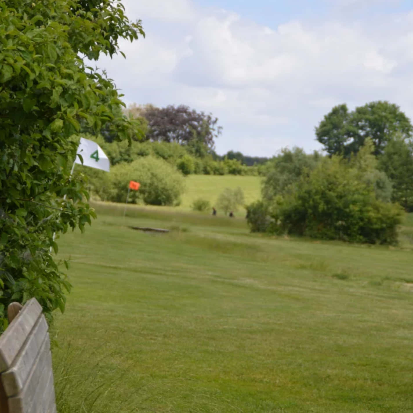 Swingolf-Bergrade