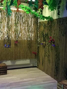 Escape Room Dschungel - Kindergeburtstag (bis 7 Kinder)