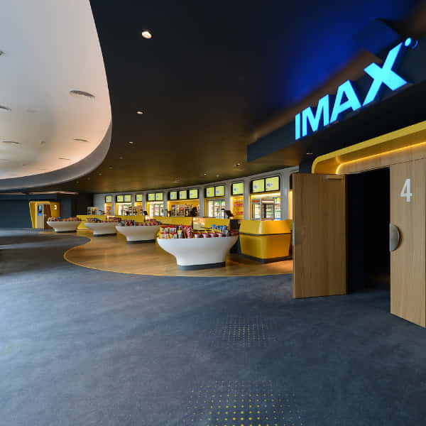 Balexert Kids Birthday