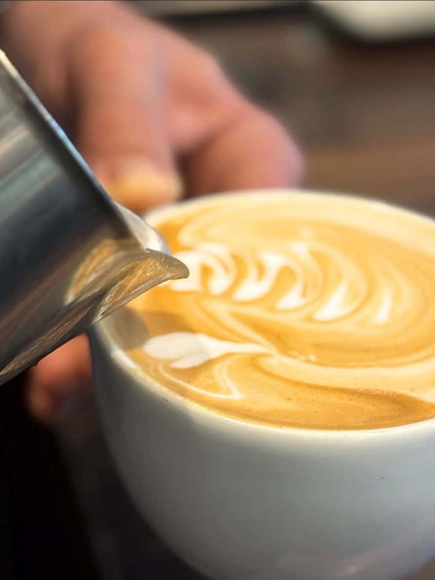 CONCELIA COFFEE - BEYOND THE BEAN