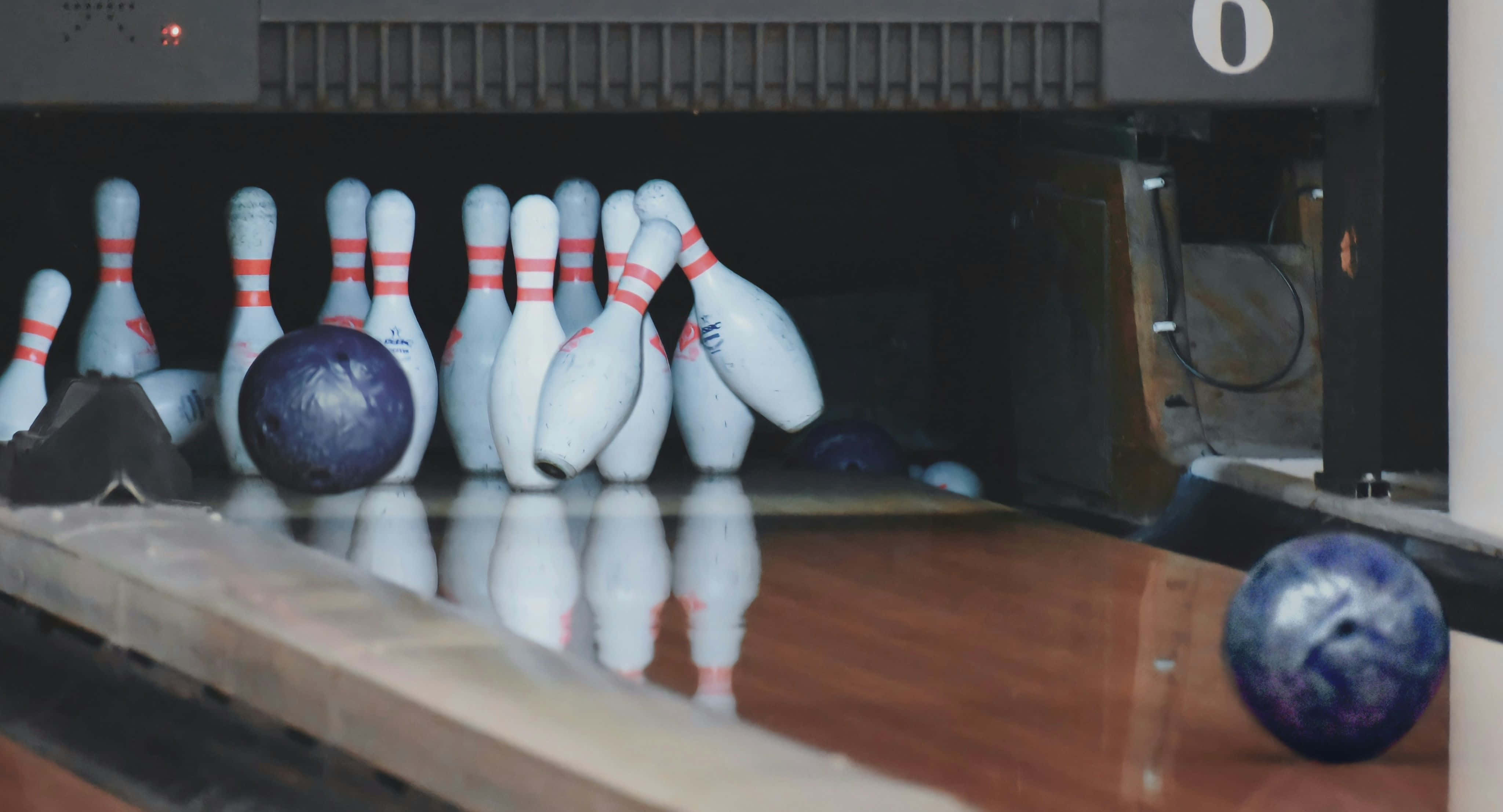 RAMBA ZAMBA Bowl